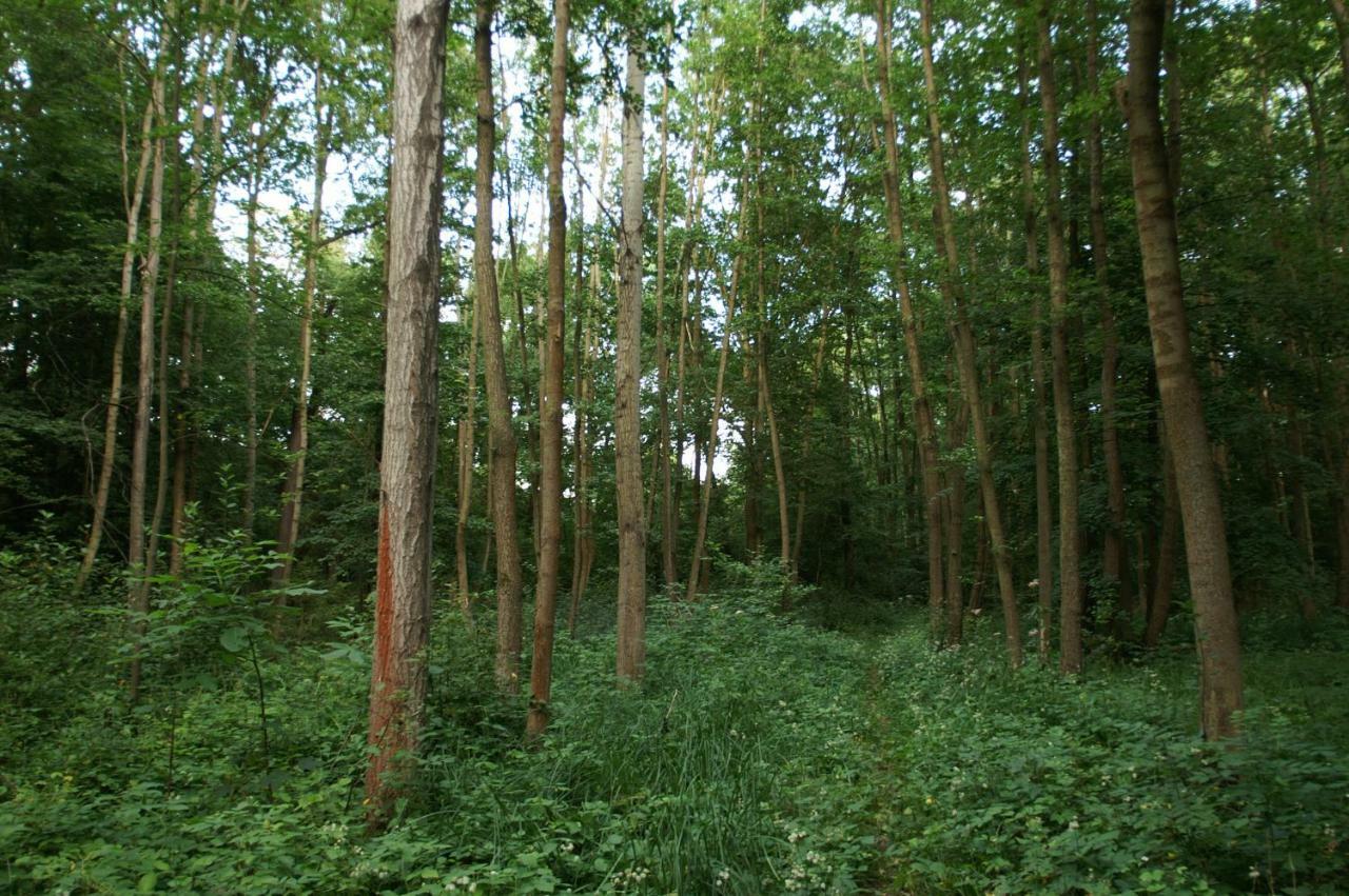 Podkrovi S Koupelnou Svinarov Extérieur photo